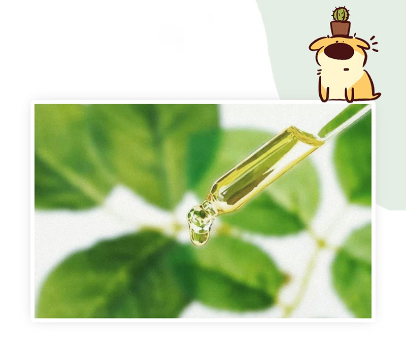 Pet deodorant spray
