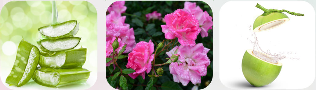 Plant Essence Clean Foam