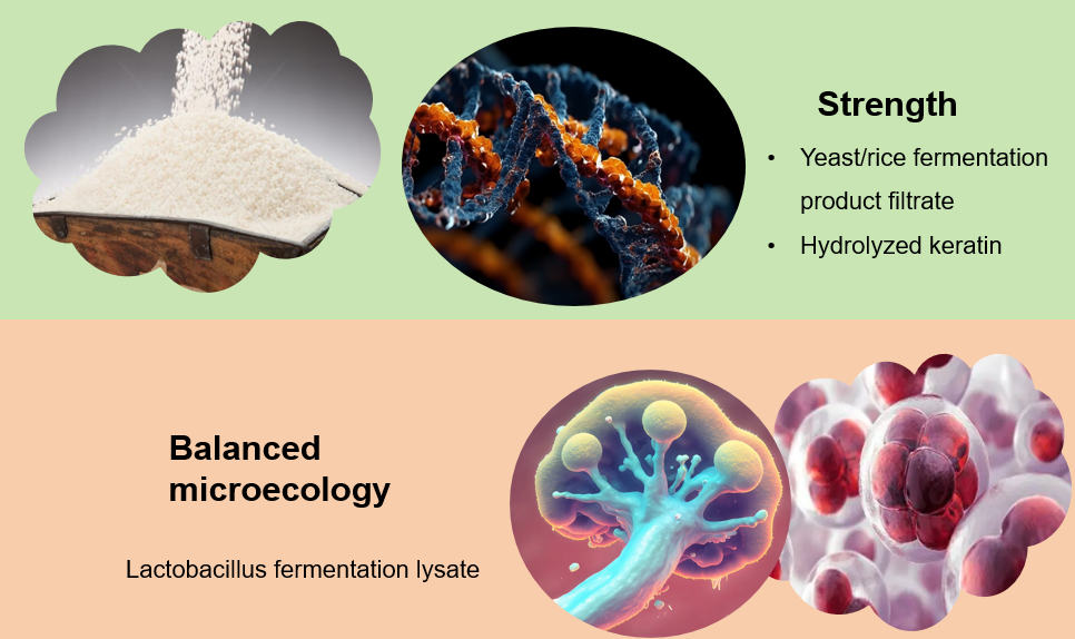 Scalp Balance Shampoo supplier