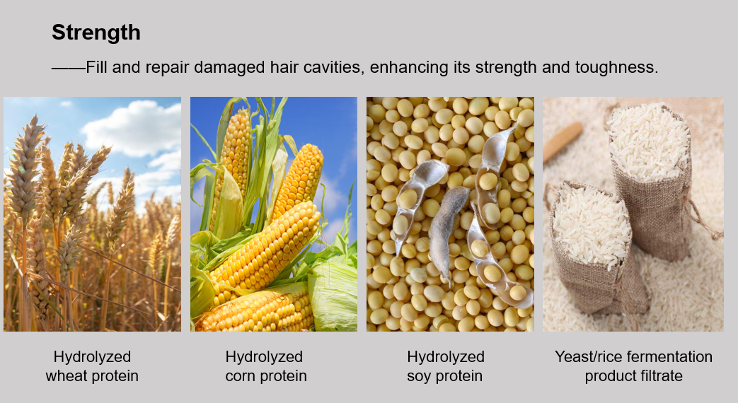 Hair-Strengthening Conditioner supplier